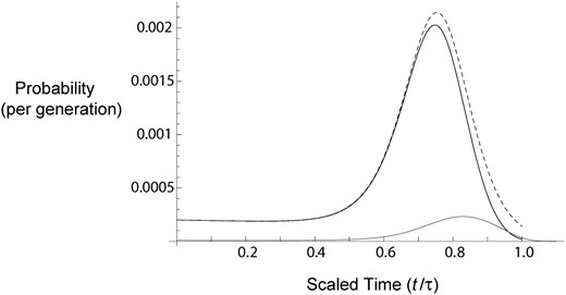 Probability of coalescence and lineage migration as functions of time. The gray curve, the black curve, and the gray dashed curve plot f2c(t) (Equation 13), fm1(t) (Equation 15), and fm(t) (Equation 20), respectively. The x-axis shows scaled time (backward) during the selective phase, with 0 and 1 corresponding to unscaled time 0 and τ (= 1520), respectively, with K = 2, 2N = 105, s = 0.01, and m = 10−4. The peaks of fm1(t) and fm(t) move closer to 1.0 (τ) as m is further reduced (not shown).