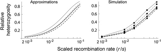 Relative heterozygosity (H(22) /H˜) for two chromosomes sampled in deme 2 with increasing recombination from the selected locus. Analytic approximations and the results of frequency-based simulations are shown for an identical set of parameters [2N = 105, s = 0.01 (black) or 0.1 (gray), and m/s = 0.01]. On the left, solid and dashed curves show the hitchhiking effect in the subdivided (K = 2) population [Equation 19 using δ=δ¯ (Equation 3)] and in the panmictic population (1−(8Ns)−r/s), respectively. Corresponding simulation results are shown on the right.