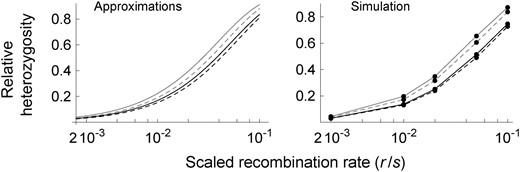 Relative heterozygosity (H(T) /H˜) for two chromosomes randomly sampled from the entire population with increasing recombination from the selected locus. Analytic approximations and the results of frequency-based simulations are shown for an identical set of parameters [2N = 105, s = 0.01 (black) or 0.1 (gray), and m/s = 0.01]. On the left, solid and dashed curves show the hitchhiking effect in the subdivided (K = 2) population [Equation 25 in which H(11), H(12), and H(22) are given by Equations 24, 23, and 19, respectively, and δ=δ¯] and that in the panmictic population (1−(8Ns)−r/s), respectively. Corresponding simulation results are shown on the right.