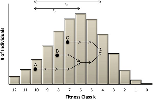 The fitness-class coalescence process for three individuals, A, B, and C, where A and B coalesced τ3 steptimes ago and C coalesced with the other two τ2 steptimes ago.