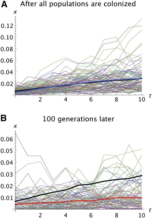 Illustration of the effects of continued evolution after all population are colonized. k = 100, N = 1000, T = 5, s2 = 0.01, s1 = 0.005, and m = 0.05. (A) Trajectories for 100 replicates immediately after the last population is colonized. The format is the same as in Figure 1, A and B. The prediction of the analytic model is shown in A by the thick blue line. The average of the 100 replicates immediately after all populations are colonized is shown by the thick black line in A and B. (B) The same set of trajectories 100 generations later. The thick red line shows the averages after 100 generations. Note the difference in the vertical scale in A and B.