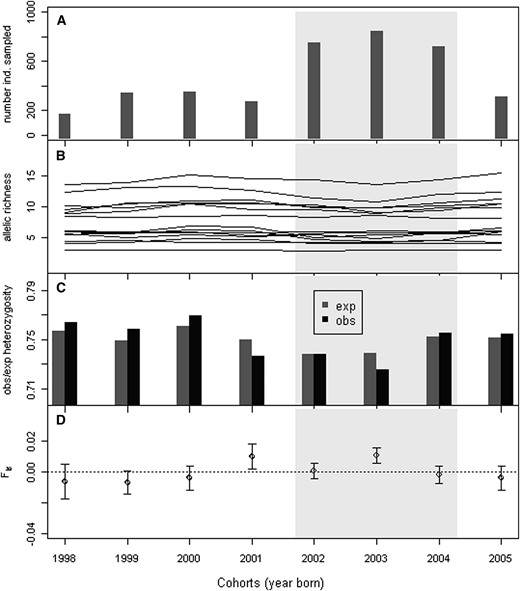 Characteristics for the eight consecutive cohorts of brown trout (Salmo trutta) sampled from Bellbekken. (A) The number of individuals sampled from each cohort. (B) Allelic richness of all 15 loci used in the analyses. (C) Expected and observed heterozygosity. (D) Inbreeding coefficient (Fis). The zone with light shading marks the three cohorts for which we have estimated variance of individual reproductive success on the basis of parentage assignment analysis and used it for calculating a “demographic” estimate of Ne.