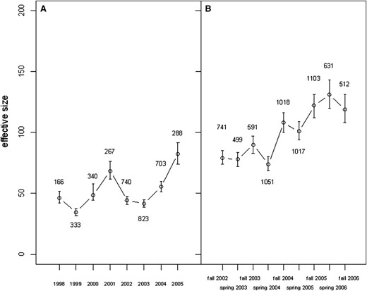 Estimates of effective population size (Ne) of brown trout in Bellbekken based on linkage disequilibrium (LD) data. Shown are (A) estimates (with 95% C.I.) based on year cohorts were born in eight successive spawning seasons (1998–2006), and (B) estimates based on all individuals caught in nine consecutive fishing episodes (fall 2002 to fall 2006). The numbers next to the plotted points are the number of individuals (n) the estimates are based on.