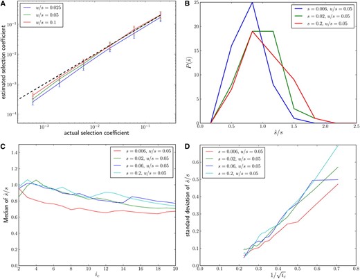 (A) Mean s^ over 50 simulation runs for a wide range of selection strengths and three different ratios of u/s, using Equation 9 with ic = 5. Error bars are ±1 standard deviation. The dashed black line indicates the correct s. Population samples of size n = 103 were taken when the beneficial allele reached fixation. For small s, there is a slight downward bias due to genetic drift. L = 4096 and N = 106. (B) Distribution of s^ at different selection strengths for fixed u/s = 0.05. (C) Performance of s^ as a function of ic. There is a tendency to underestimate the strength of the sweep if ic is large, which arises from the inclusion of rare haplotypes that are affected by genetic drift and may contain haplotypes that arose after the sweep. (D) Standard deviation over 50 estimates as a function of ic−1/2. Variation is suppressed at large ic due the discreteness of low population frequencies.