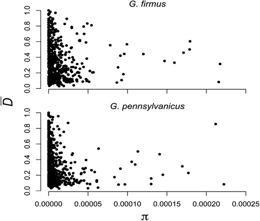 Correlation between polymorphism within species (π) and divergence between G. firmus and G. pennsylvanicus.