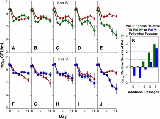 Increased relative fitness of Pol II+-only mutants following serial passage. Populations of unaged Pol IV+-only (green lines, A–E) or unaged Pol V+-only (blue lines, F–J) were each competed against the Pol II+-only strain (red lines) after one to five serial passages. (A and F) Competition between the Pol II+-only strain with no additional passage. (B and G) Competitions after one additional passage of Pol II+-only. (C and H) Two additional passages of Pol II+-only. (D and I) Three additional passages of Pol II+-only. (E and J) Five additional passages of Pol II+-only. The average relative log10 ratio of final cell densities between Pol II+-only vs. Pol IV+-only (green bars) or Pol V+-only (blue bars) for all six conditions is plotted in K.