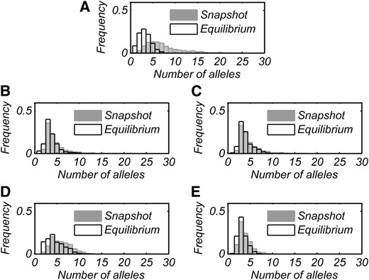 Numbers of alleles present at snapshot (shaded) and at equilibrium (open) in 1000 runs each for all cases of PIM construction. A–E represent cases 0–4 in order.
