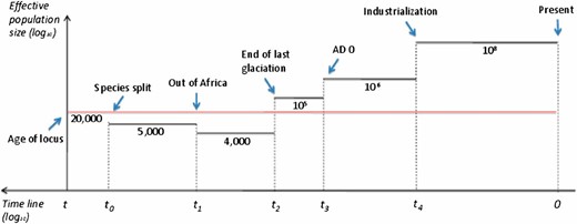 Scheme of human demographic history with recent bottlenecks and expansions. Black line depicts human population, red line depicts ancestral and chimpanzee populations. t, age of the locus (∼560,000 generations ∼ 11.2 MYA); t0, species split (∼290,000 generations ∼ 5.8 MYA); t1, human migration out of Africa (∼10,000 generations ∼ 200,000 years ago); t2, end of the last glaciation (∼600 generations ∼ 12,000 years ago); t3, ad 0 (∼100 generations ∼ 2000 years ago); t4, beginning of industrialization (∼9 generations ∼ 180 years ago).