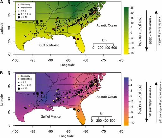 Sampling localities for loblolly pine for the samples used to discover single-nucleotide polymorphisms (SNPs) and to associate SNP genotypes with phenotypes. (A) Sample localities with respect to the first climatic principal component (PC), which largely represents temperature-related variables and seasonal aridity. (B) Sample localities with respect to the second climatic PC, which largely represents precipitation-related variables. PVE, percentage of variance explained.