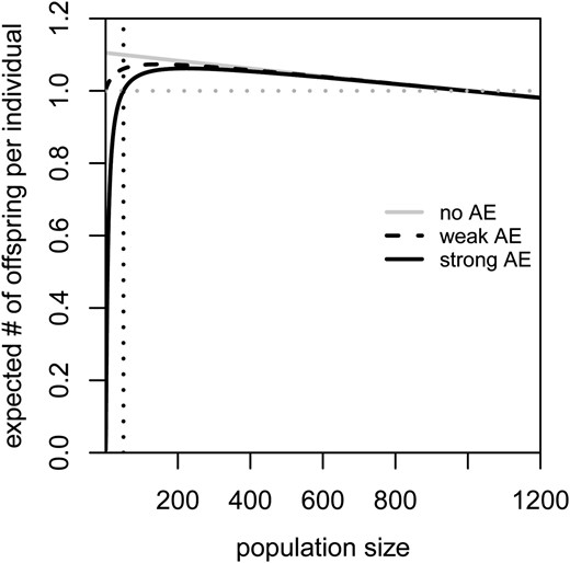 The expected number of surviving offspring per individual [λ(n), see Equation (1)] as a function of the current population size n without an Allee effect (a = c = 0, gray line), under a weak Allee effect (a = 0, c = 30, dashed black line), or under a strong Allee effect (a = 50, c = 0, solid black line). The dotted vertical line indicates the critical population size under the strong Allee effect. k1 = 1000, r = 0.1.