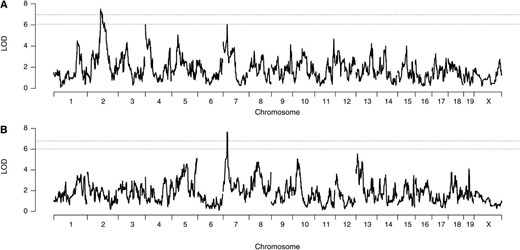 Genome scans of (A) PMN and (B) CXCL1. Dashed lines represent 95 and 80% significance thresholds. Note the colocalized QTL for both traits on chromosome 7.