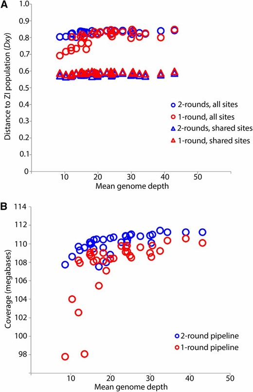 Mean sequencing depth vs. genetic distance (A) from the Zambia population and depth vs. coverage (B) for the AGES dataset genomes with high coverage on all chromosome arms (listed in Table S1). Circles indicate comparisons utilizing all windows with called sites, while triangles indicate comparisons including only sites called for all of the AGES and ZI genomes. Comparisons illustrate the effect of depth on genetic distance (A) and coverage (B) for genomes assembled using a single-round pipeline (red) vs. our two-round pipeline (blue). The two-round pipeline appears to alleviate the potential downward bias present in the single-round pipeline for depths below ∼20×, and the greater impact of depth on coverage for the single-round pipeline (B) suggests that the sites added by the two-round pipeline are driving the differences in distance to ZI.