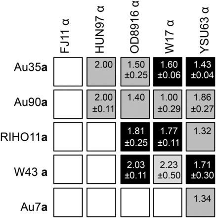 Matrix of outcomes of matings between MTL-homozygous derivatives. Black boxes indicate combinations yielding seven or more fusants per experiment and in which ≥10% of all colonies tested were fusants. Grey boxes indicate combinations in which fewer fusants were obtained and open boxes indicate combinations yielding no fusants in three or more independent experiments (some matings involving FJ11α were attempted only once after it was discovered that a genetic defect prevented it from mating). Numbers in boxes indicate the DNA content of fusants (mean ±SD where multiple fusants were analyzed) relative to the mean DNA content of the parents. Fusants were selected and identified, and their DNA content assessed by flow cytometry as described in Materials and Methods. All fusants were mononucleate apart from a small percentage of W17α cells and a small percentage of W17α offspring, which were multinucleate (see Figure S3).