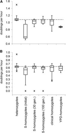 Impact of MTL-homozygosity on growth rates. Box and whisker plots of growth rates of the 10 clinical MTL-heterozygous clinical isolates used in this study (shaded boxes), their MTL-homozygote derivatives, selected on sorbose (S-homozygotes) initially and after 30 and 100 generations of serial propagation, MTL-homozygous clinical isolates (clinical homozygotes) and spontaneous MTL-homozygotes isolated on YPD medium (YPD-homozygotes); serial propagation for 30 generations of the latter did not increase the growth rates over the initial rates depicted in the figure. Asterisks, outliers. A dashed line indicates the median growth rate of the MTL-heterozygous clinical isolates. (A) Strains grown on YPD, (B) strains grown under harsh conditions (W17α could not grow under harsh conditions).