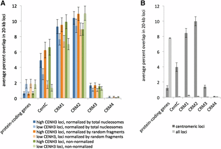 Genes and repetitive DNA in centromeres. (A) Overlap between CENH3 enrichment and genetic elements. Within the centromere, we assigned each 20-kb locus into one of two categories, “low CENH3 loci” and “high CENH3 loci,” based on whether it exhibited less than or greater than the median CENH3 enrichment. Results are shown for three methods of measuring CENH3 enrichment. The first two are relative to a total nucleosome control produced by MNase digestion of total chromatin and relative to a randomly sheared naked DNA control produced by NEBNext dsDNA Fragmentase (Gent et al. 2014). In both cases, only uniquely mapping reads were considered. In the third method, no control was used, and enrichment was defined by raw read counts, including nonuniquely mapping reads. Errors bars are standard errors of the means for each set of loci. (B) Comparison of genetic elements in centromeric 20-kb loci and whole-genome 20-kb loci, but without regard to relative CENH3 enrichment within centromeres