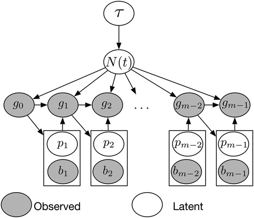 Structure of our Bayesian model for inferring population size trajectories from a realization of the SMC′ process at recombination breakpoints. Hyperparameter τ controls the smoothness of the log-Gaussian process prior on N(t). Local genealogies depend on N(t) and form a Markov chain of degree 1. Given the current local genealogy gi−1, we sample the location of the new recombination breakpoint bi and a pruning location pi on genealogy gi−1. The new genealogy gi depends on N(t),  pi, and gi−1.