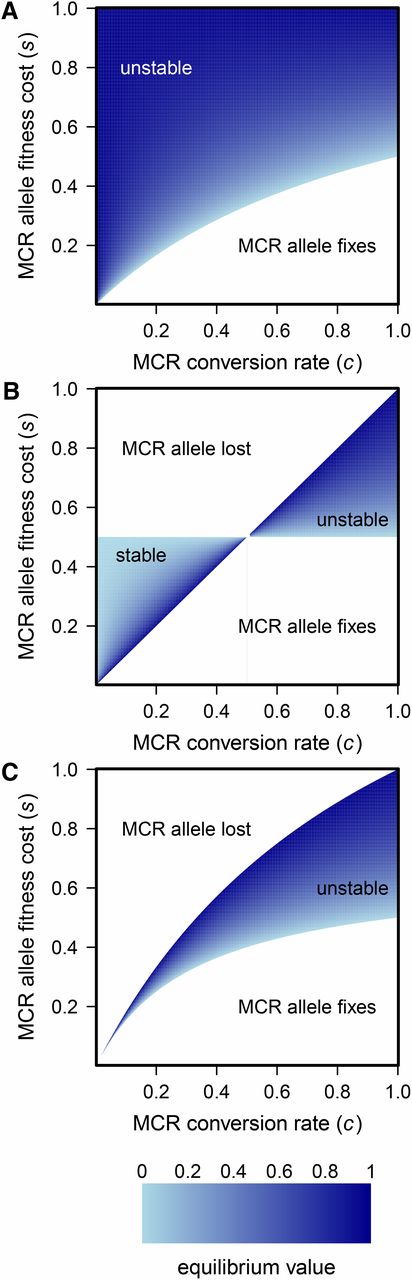 (A–C) Equilibrium frequency of the MCR allele when fitness costs are (A) dominant (h=1), (B) recessive (h=0), and (C) additive (h=1/2). Parameter space leading to fixation, loss, or stable or unstable equilibrium of the MCR allele is shown.