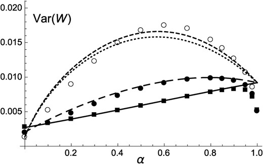 Variance in fitness in the population at equilibrium, as a function of the rate of self-fertilization α and for different values of the dominance coefficient of deleterious alleles. Curves correspond to predictions from Equation A46 in File S1 (dotted, h=0.2; long dashed, h=0.3; solid, h=0.4). Short-dashed curve, adding the term given in Equation A47 in File S1 for h=0.2; symbols, simulation results for h=0.2 (open circles), h=0.3 (solid circles), and h=0.4 (solid squares). Parameter values are the same as in Figure 1.