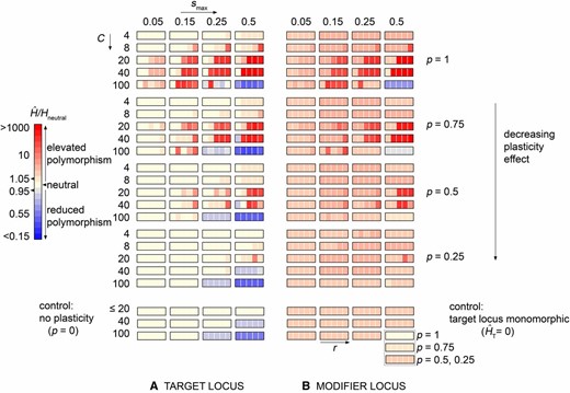 The genomic storage effect promotes polymorphism across a broad range of parameter values. (A and B) We explore the effects of cyclic selection and phenotypic plasticity on the levels of cumulative diversity at a target locus (HT in A) and at a modifier locus (HM in B) in Monte Carlo simulations of a Wright–Fisher process with selection and recombination. The ensemble-average levels of cumulative diversity are shown as a function of the season length (C, increasing vertically within major blocks), the magnitude of periodic selection (smax, increasing horizontally within each panel), the plasticity effect size (p, varying vertically across major blocks), and the recombination rate (r = 0.0001, 0.01, 0.1, 0.25 and 0.5, varying horizontally within minor blocks). Control simulations, with one or the other locus monomorphic, are shown in the bottom blocks of A and B. Only the cumulative diversity levels that exceed the respective controls represent the genomic storage effect. We simulated an ensemble of 5 × 107 replicate populations of size N = 105, each with a single novel mutant introduction to each of the loci and run for 100N generations.