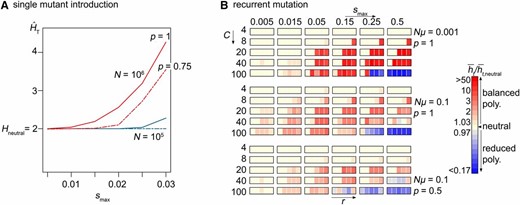 The effect of population size (A) and recurrent mutation (B) on balanced polymorphism under the genomic storage effect. (A) Ensemble average heterozygosity at the target locus over time, with C = 20, r = 0.25, and p = 1 (solid line) or p = 0.75 (dashed line) in a population of size N = 105 (blue) or 106 (red), based on the introduction of a single mutant. A total of 105N replicate simulations were each terminated once polymorphism perished or 100N generations were reached. (B) Ensemble mean heterozygosity, averaged over time, relative to the neutral expectation with recurrent mutation rate Nµ = 10−3 and p = 1 (top), Nµ = 0.1 and p = 1 (middle), and Nµ = 0.1 and p = 0.5 (bottom). We simulated 1000 replicate populations of size N = 105 for Nμ = 10−1 and 20,000 replicate populations of size N = 105 for Nμ = 10−3, each run for 100N generations.