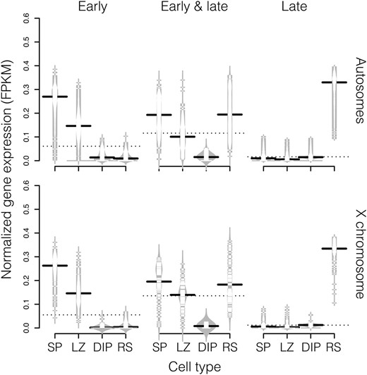 Expression patterns for genes induced at different stages of spermatogenesis in M. musculus. The normalized FPKM values for each gene is plotted as a horizontal tick mark and the distribution density for each cell type is plotted as a gray outline. Lines represent the median FPKM for each cell type (solid) and stage of spermatogenesis (dashed). Genes induced early have higher expression before the onset of MSCI (LZ, leptotene/zygotene spermatocytes and SP, spermatogonia). Genes induced both early and late are silenced at MSCI (DIP, diplotene spermatocytes) and are reactivated in postmeiotic cells (RS, round spermatids). Genes induced late are only highly expressed in postmeiotic cells.