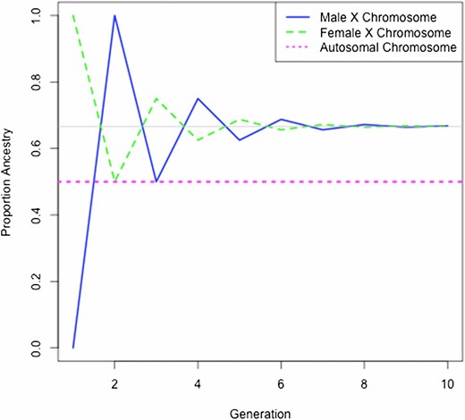 Ancestry proportions by generation under random mating. Shown is the proportion of ancestry for the autosomes and the X chromosome by sex, assuming females and males have opposite ancestries at the initial admixture event. After the initial admixture event, random mating is assumed. The gray line shows the equilibrium proportions on the X chromosome.