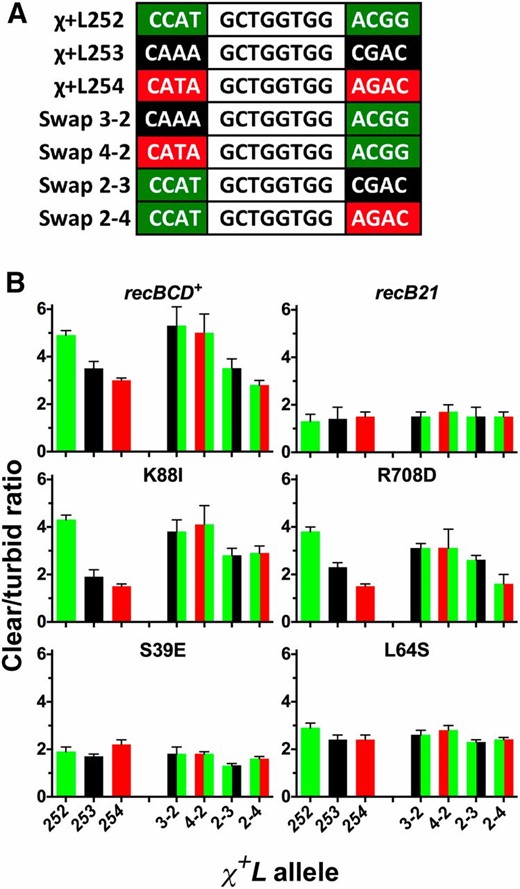 Context-dependence of Chi activity in wild type (recBCD+), RecBCD null (recB21), and RecC tunnel mutants. (A) Diagrammatic representation of χ+L alleles and swaps of flanking bp tested for context-dependence. The Chi octamer, common to all alleles, is shown in black font. The origin of the 4 bp 5′ and 3′ of the octamer is indicated by the last digit of the allele number separated by a hyphen and the bar colors. For example, χ+L252 (green) with the 3′ context of χ+L254 (red) is indicated as 2-4 (green/red). (B) Chi activity of the indicated strains. Strains are transformants of V2831 (ΔrecBCD::kan) with the indicated rec alleles or amino acid changes in RecC carried on derivatives of plasmid pSA607 (RecBC2773D). Chi activity, measured as the ratio of clear to turbid plaques from type 2 crosses (Figure 3C), is shown for the indicated χ+L alleles. Bar colors represent the source of the 4 bp flanking Chi as described above. Data represent the mean ± SEM for four to eight crosses. Data for recBCD+ and recB21 are from Taylor et al. (2016).