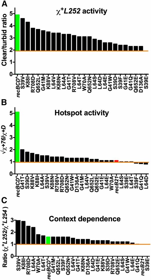 Chi activity and its context dependence in RecC tunnel mutants vary along a continuum. Data are from Table 1, Table S4, and Table S6. (A) The c/t ratios (Chi activity) from type 2 crosses (Figure 3C) with χ+L252 are shown for the indicated RecC tunnel mutants. The c/t ratios in recBCD+ for χ+L252 (4.9; green bar) and for χ−L252 (1.9; orange line) are shown for comparison. (B) Weak Chi hotspot activity of the RecC tunnel mutants in normalized χ+D123 and χ+76 hotspot crosses (Figure 3A, type 1 crosses; Table 1). Orange line at 1.0 indicates no Chi hotspot activity. (C) Context dependence (ratio of the c/t ratios from crosses with χ+L252 vs. χ+L254) varies from strong (∼3 in some tunnel mutants) to medium (∼1.5) in recBCD+ and other tunnel mutants, to low (∼1) in recBCD null and other tunnel mutants. Orange line at 1.0 indicates no Chi context-dependence. Data for recBCD+ and recB21 are from Taylor et al. (2016).