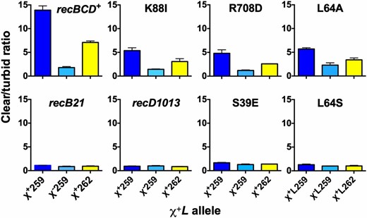 Activity of strong Chi alleles in RecC tunnel mutants. Shown are results of type 2 crosses (Figure 3C) with two χ+L alleles that have the same 5′ flanking sequence as χ+L251 but different 3′ flanks (Table 2), which confer high Chi activity in recBCD+ cells (Taylor et al. 2016). The Chi octamer mutant χ−L259 was used as a control, as were the recBCD null mutant recB21 and the recD1013 mutant, in both of which Chi is inactive (Stahl and Stahl 1977; Amundsen et al. 1986). Data for recBCD+ and recB21 are from Taylor et al. (2016).