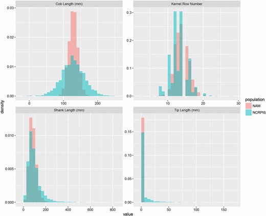Distribution of shank length, cob length, kernel row number, and masculinized ear tip length in the NCRPIS panel and the NAM population.