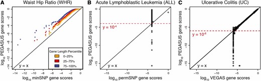 Quantile–quantile plots comparing gene scores produced by PEGASUS against those produced by minSNP, permSNP, and VEGAS. (A) Quantile–quantile plots of PEGASUS gene scores vs. minSNP gene scores. Each point represents a gene and is colored yellow, red, or blue based on gene length percentile, 0–25%, 25–75%, and 75–100%, respectively. The phenotype used is waist–hip ratio adjusted for body mass index (WHR). minSNP gene scores are smaller than PEGASUS gene scores and decrease with increasing number of SNPs in a gene. The deviations from y=x show that minSNP scores are biased toward being smaller than PEGASUS scores, and this bias increases for increasing gene length (genes colored in blue and red). (B) Base-10 logarithm of PEGASUS gene scores vs. base-10 logarithm of permSNP gene scores for acute lymphoblastic leukemia (ALL). permSNP can determine gene scores only as low as the reciprocal of the number of permutations (10,000 in this case) whereas PEGASUS can determine gene scores as low as 2.22×10−16 (the numerical precision of R). Note that the minimum permSNP scores of 10−4 differ widely from their P-values computed by PEGASUS. (C) Base-10 logarithm of PEGASUS gene scores vs. base-10 logarithm VEGAS gene scores. Using 1 million simulations, the lowest gene scores output by VEGAS are 10−6, while PEGASUS determines gene scores as low as 2.22×10−16. In addition, for gene scores close to the reciprocal of the maximum number of simulations performed, VEGAS can return inaccurate gene scores compared to PEGASUS.