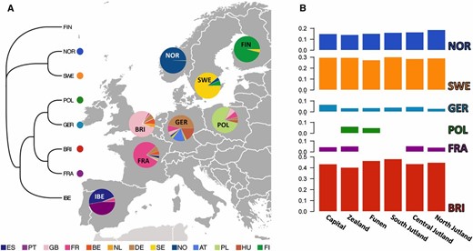(A) fineSTRUCTURE grouping of the 2745 European donor samples into eight clusters roughly corresponding to well-defined geographic locations. The tree on the left illustrates cluster topology. Pie charts on the European map show the relative contribution from each country to each of the eight inferred clusters. FIN: Finnish; NOR: Norwegian; SWE: Swedish; POL: Polish; GER: German; BRI: British; FRA: French; IBE: Iberian. Color legend at the bottom of the map shows different donor countries. FI: Finland. (B) GLOBETROTTER admixture proportions of each of the eight European clusters in the six geographic regions of Denmark. Neither FIN nor IBE made substantial contributions (<2.5%) to the mixture profiles of Denmark.