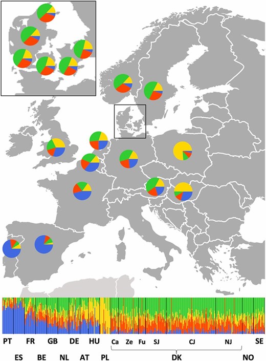 Ancestral component analysis of 13 European countries (including six well-defined geographic regions in Denmark shown in the inset) assuming K = 4 ancestral populations. Bar plot at the bottom shows per-individual membership to each of the four ancestral components, whereas pie charts on the map resume per-country (or per-region for Denmark) admixture proportions. Based on their preponderance in different parts of Europe, we interpret the four components as (i) Southern European (blue); (ii) Eastern European (yellow); (iii) Nordic (green); and (iv) Central European (red). Regions from south and east Denmark show higher proportion of Eastern European ancestry in accord with Figure 3B and Table S2.