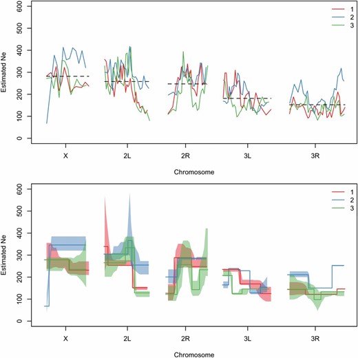 Genome-wide N^e from an E&R study with D. melanogaster. Ne is estimated based on the allele frequency changes between founder and evolved populations at generation 59 (Franssen et al. 2015). In the top panel, we show genome-wide estimates calculated with Ne(P) (plan I), using N=1000 as census size and S=500 as pool size (Orozco-terWengel et al. 2012) and nonoverlapping windows of 10,000 SNPs. Chromosome-wide mean estimates across replicates are shown by the dashed lines and also calculated separately for each replicate in Table 1. DNA stretches with significantly different N^e are determined using the stepR software package (Frick et al. 2014) (bottom panel). Lower and upper 1−α confidence bands are shown as shaded areas. α controls the error, i.e., the probability for overestimating the number of change points, and is calculated automatically as described in Frick et al. (2014). The colors indicate different biological replicates.