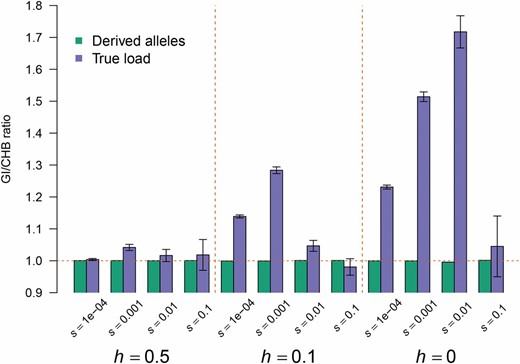 GI are predicted to have a higher genetic load than the CHB. The ratio of the true genetic load (black errors bars indicate SE) (see Materials and Methods) in the GI vs. CHB (blue bars) is >1, suggesting that the GI have a higher genetic load than CHB. However, the ratio of the number of derived alleles in the GI vs. CHB rarely shows any deviation from 1 (green bars), likely due to the inclusion of neutral sites (see text).
