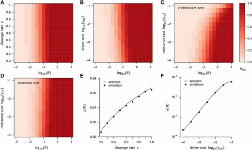 Probability that resistance evolves from SGV in our standard model. (A) PSGV as a function of θ and cleavage rate: higher c increases PSGV by increasing π(0) (see panel E). (B) PSGV as a function of θ and driver cost: higher driver costs also increases PSGV by increasing π(0) (see F). (C) PSGV when resistance alleles carry a codominant fitness cost (sr0=srr/2>0). (D) Same as (C), but assuming recessive fitness costs (srr>sr0=0). Higher fitness cost of resistance alleles lead to lower PSGV only if fitness costs are codominant, whereas recessive costs have almost no noticeable effect. To vary θ in (A–D), we always varied Ne while keeping μ=10−8 constant. (E) Establishment probability as a function of cleavage rate: π(0) increases with c because resistance alleles can experience their net fitness advantage faster when the driver spreads faster. Our analytics (line) agree well with numerical simulations (●) under a Wright–Fisher model with conversion, selection, and drift. (F) Same as (E) but varying driver costs instead of cleavage rate.