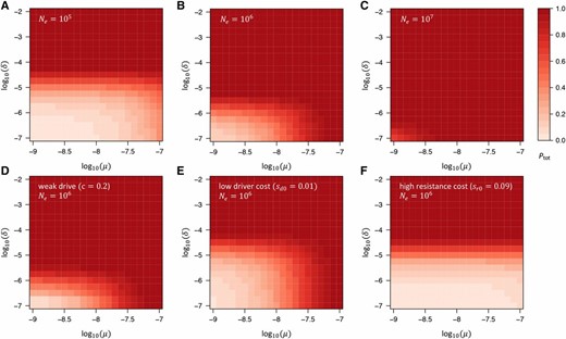 Total probability that resistance evolves in our model. (A–C) Ptot as a function of μ and δ in our standard model, assuming three different effective population sizes (A) Ne=105, (B) 106, and (C) 107. Larger values of Ne increase the probability of resistance, yet even in the scenario with Ne=105, low values of δ<10−5 are still required if resistance from NHEJ is to be prevented. (D–F) Ptot as a function of μ and δ for fixed Ne=106 in three limiting cases of our standard model: (D) scenario of a very weak drive with cleavage rate c=0.2. Comparison with (B) shows that this has almost no effect on Ptot. (E) Scenario with low driver costs, sd0=sdd/2=0.01. While this allows for larger values of δ, the dependence on μ does not change much, since PSGV remains largely unaffected by the driver costs (compare with Figure 2B). (F) Scenario in which resistance alleles carry (codominant) fitness costs almost as large (90%) as those of the driver, sr0=srr/2=0.09. In this case, resistance is unlikely to evolve from SGV or de novo mutation. However, it is still likely to evolve by NHEJ unless δ<10−5.