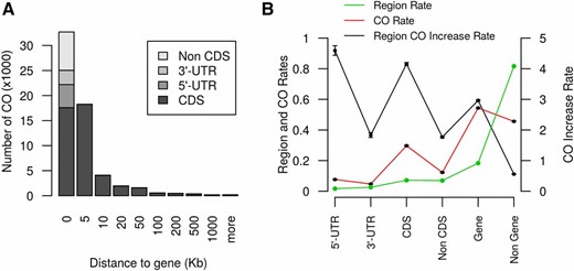 Crossover rate is greater near and in genes. (A) The number of crossovers (COs) with respect the distance to the nearest gene. The leftmost bar, which represents COs in genes (distance to gene = 0), notes the number of COs in 5′ untranslated regions (UTR), 3′ UTR, coding DNA sequence (CDS), and non-CDS regions of genes. (B) Comparison of CO rate in different gene regions. “Region Rate” indicates the percentage of base pairs in each category across the genome. “Region CO Increase Rate” is the ratio of the CO rate in specific regions over the genome rate (CO Rate/Region Rate). Plotted values are mean ± SD based on resampling of half the markers 50 times.