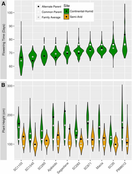 Variation of flowering time and plant height in the NAM families. (A) Flowering time distribution for each NAM family in a continental humid (CH; Manhattan, KS) environment. (B) Plant height distribution for each NAM family in a CH environment (green) or a semi-arid environment (Hays, KS) (orange).