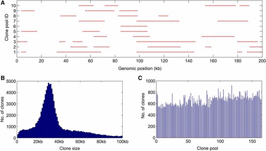 Generation and sequencing of 164 subhaploid clone pools in A. thaliana. (A) Visualization of fosmid clones distributed along the reference genome. A partial region of chromosome 1 (0–1 Mb) is chosen for display of 10 clone pools. One red ● represents a BsaXI tag. (B) The histogram of estimated insert sizes of fosmid clones. It is shown that ∼65% of clones fall into the range of 20–40 kb. (C) Distribution of inferred clone numbers across all clone pools. The average number of clones per pools is 665 (representing 0.22× haploid genome), with an SD of 85.