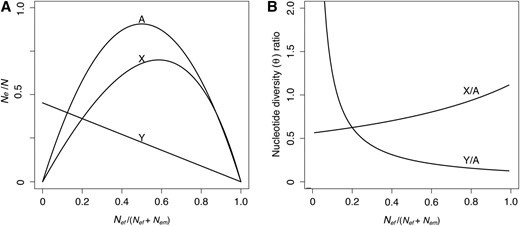 (A) Normalized effective population sizes at equilibrium for genes on autosomes, X chromosomes, and Y chromosomes as a function of the sex ratio. (B) The corresponding X/A and Y/A ratios of nucleotide diversity predicted at equilibrium, assuming equal neutral mutation rates for sex-linked and autosomal genes.