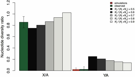 Observed and predicted X/A and Y/A ratios of neutral diversity. Predictions are shown for increasing values of the effective population size sex ratio, Nef / (Nef + Nem). We calculated observed estimates of X/A and Y/A as the average θ across genes, weighted by the number of synonymous sites per gene. We modeled purifying selection using forward simulations, and the simulated Y/A diversity ratio shown was obtained from our maximum likelihood estimate of the number of selected sites (see Materials and Methods), with 95% C.I. obtained from 50,000 replicate simulations. C.I. for observed values were calculated by bootstrapping (20,000 replicates) using the BCa method (Efron 1987) implemented in the Boot package in R (Canty and Ripley 2012). Simulation commands are given in the text in File S1.