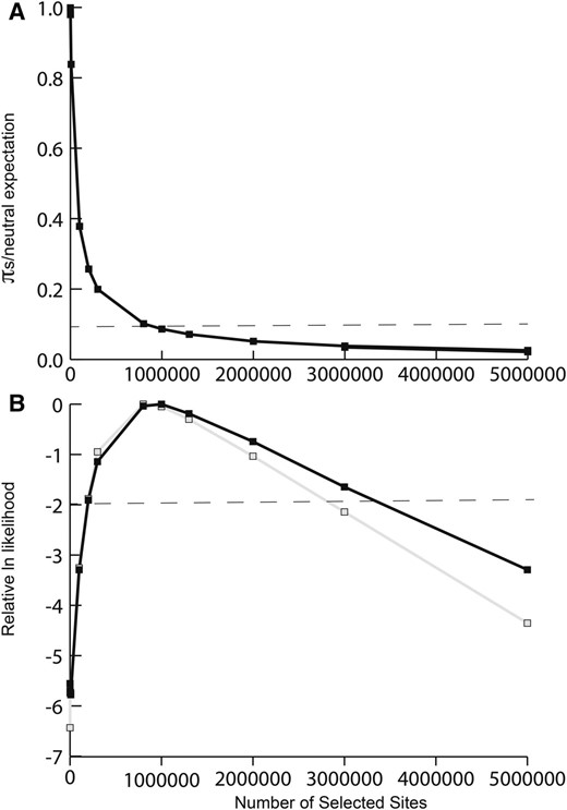 Results from forward simulations of purifying selection, varying the number of sites under selection, L. (A) Estimated silent site diversity πs relative to the neutral prediction π0 as a function of the number of selected sites. The dashed line corresponds to our estimate of diversity loss on the Y chromosome (πY ). (B) the relative likelihood curve for the number of selected sites, with the dashed line reflecting the ∼95% credibility interval. Black line, likelihood surface for the observed πs; gray line, likelihood surface for the observed number of segregating sites and number of singletons.