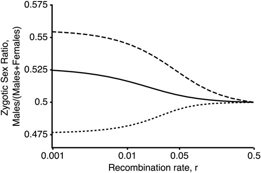 The zygotic sex ratio is biased by linkage between an XY SDR and a locus that experiences competition among male gametes. Here, we plot the zygotic sex ratio at equilibrium assuming that all individuals have the same recombination rate, r (fixed for modifier allele M). Male-biased sex ratios result when the Y becomes associated with alleles conferring high sperm fitness (solid line: wAa=0.97, wAA=0.91, wa♂=0.9, wA♂=1, dashed line: wAa=0.92, wAA=0.8, wa♂=1, wA♂=1.25, both with wij♂=wij♀=wij, waa=1 such that selection is ploidally antagonistic). Female-biased sex ratios can, however, arise if the haploid-beneficial allele is also strongly favored in females and becomes associated with the X (dotted line: waa♂=1, wAa♂=0.94, wAA♂=0.8, waa♀=1, wAa♀=1.14, wAA♀=1.2, wa♂=1, wA♂=1.1, such that selection in diploids is sexually antagonistic).