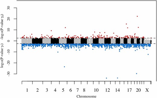 Manhattan plot of γg and γe  P-values. Each point represents one CpG site consistent with either MA or DS. The dashed lines represent genome-wide significance (FDR < 0.05). All CpG sites consistent with MA and belonging to significance groups 2 and 3 are in red. All CpG sites consistent with DS and belonging to significance groups 2 and 3 are in blue. DS, disposable soma; FDR, false discovery rate; MA, mutation accumulation.