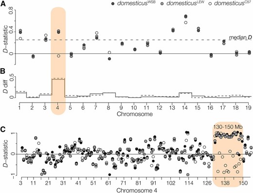 Introgression between M. m. musculus and M. m. domesticus. (A) D-statistics, calculated for each chromosome, testing for introgression between musculusCZII or musculusPWK and M. m. domesticus. The median D-statistic across all M. m. domesticus comparisons is represented by the dashed line. Patterns on Chr 4 vary depending on the strain of M. m. domesticus. (B) The absolute difference in the D-statistic using domesticusWSB (solid gray line) or domesticusLEW (dashed gray line) compared to domesticusC57. (C) D-statistic calculated over 1 Mb nonoverlapping windows localizes discordant introgression to a 20 Mb window on the distal end of Chr 4.
