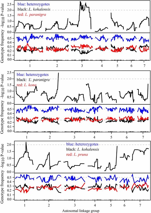 Segregation distortion. For each of the seven autosomal LGs within the three comprehensive linkage maps (from top to bottom: ParKoh, KonPar, and PruKoh), a sliding window of the negative log-transformed P-values for the χ2-square test for deviation from a 1:2:1 segregation ratio is shown across markers with black lines in the top panels. In the panel below, the trace of the frequency of heterozygote genotypes (blue lines) and homozygote genotypes for both parental alleles (black and red lines, respectively) is shown. For each intercross, dashed gray lines indicate P = 0.01 (top panels) or expected allele frequencies based on 1:2:1 inheritance (bottom panels).