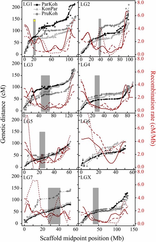 Recombination and Marey maps. Grayscale symbols and lines indicate the relationship between the physical distance (scaffold midposition) in Mb on the x-axis and the genetic distance in cM for each of the eight LGs on the left y-axis. ○’s represent the dense ParKoh linkage map, ▵’s and ⋄’s represent that of the KonPar and PruKoh cross, respectively. The corresponding lines (ParKoh: solid; KonPar: dashed; PruKoh: dotted) indicate the fitted smoothing spline (10 d.f.). The red lines (same stroke style) show the first order derivative of the fitted splines and represent the variation in recombination rate as a function of physical distance (cM/Mb, on the right y-axis). Gray bars indicate the approximate location of male song rhythm QTL peaks. The yellow ☆ in the LG1 panel highlights the QTL peak that colocalizes with a female preference QTL peak (Shaw and Lesnick 2009).