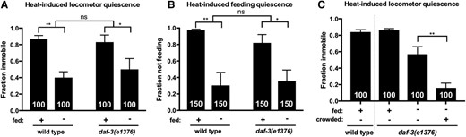 The sleep-suppressing effects of FD and population density are not attributable to DAF-3. Animals were heat shocked at 37° for 11 min and examined for SIS. FD inhibits heat-induced (A) locomotor and (B) feeding quiescence in daf-3(rf) mutants. (C) Crowding enhances the sleep-suppressing effect of FD in daf-3(rf) mutants, similar to wild type (Figure 2A). The total number of animals examined is indicated at the bottom of each bar. Error bars represent SEM (25 animals per trial). Two-way ANOVA with Sidak’s (A and B) or one-way ANOVA with Tukey’s (C) multiple comparisons test. (See also Figure S5.) * P < 0.05, ** P ≤ 0.01. ns, not significant vs. control (unless otherwise indicated by connecting bars on graph).