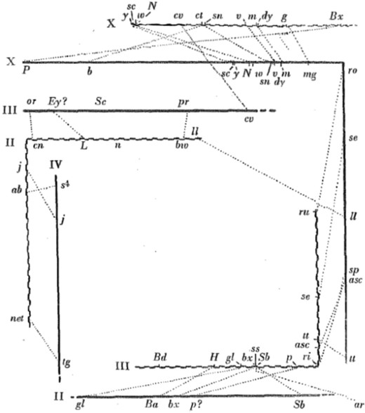 Linkage maps of the major chromosomes of D. pseudoobscura (straight lines) and D. melanogaster (wavy lines) with corresponding loci connected with dotted lines (figure 2 from Donald 1936). (Reprinted by permission from RightsLink Permissions Springer Customer Service Centre).